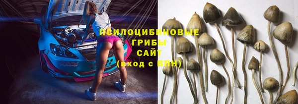 spice Белокуриха