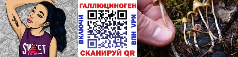 KRAKEN ссылка  даркнет сайт  Высоковск  Псилоцибиновые грибы мицелий 