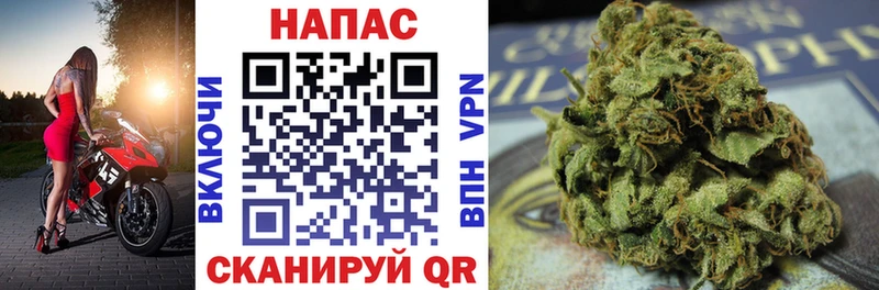 Каннабис Bruce Banner  наркота  Высоковск 